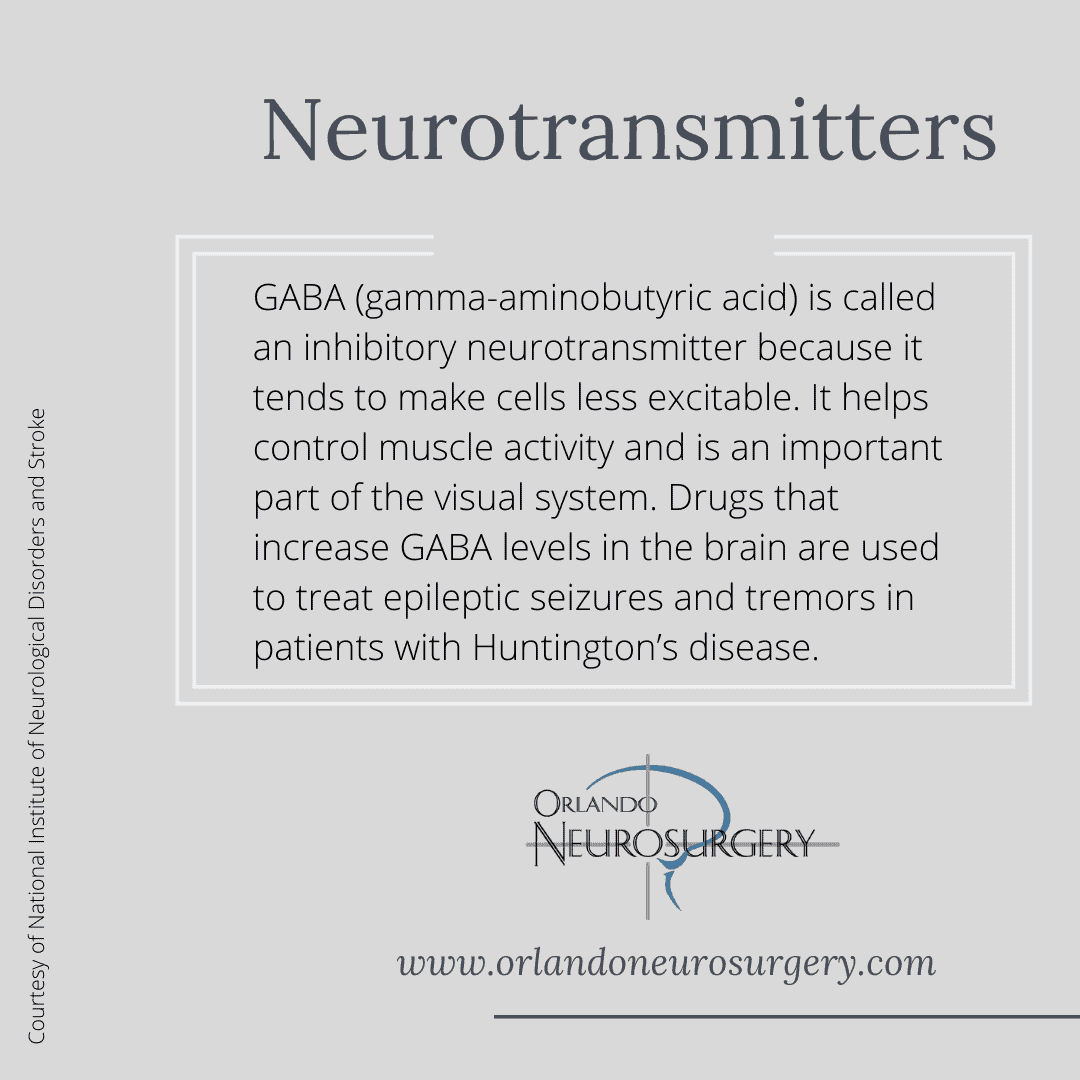 neurotransmitters in the brain drugs