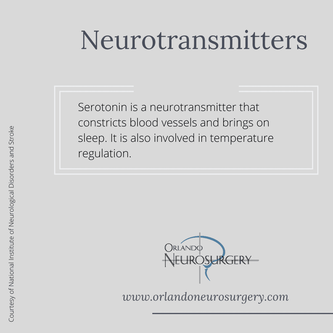 Key Roles of Neurotransmitters - Seratonin