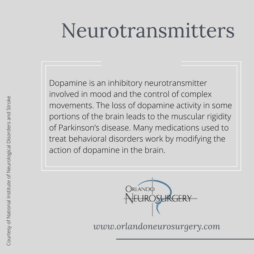 Key Roles of Neurotransmitters - Dopamine
