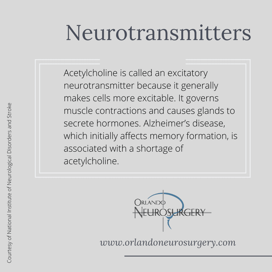 Key Roles of Neurotransmitters - Acetylcholine